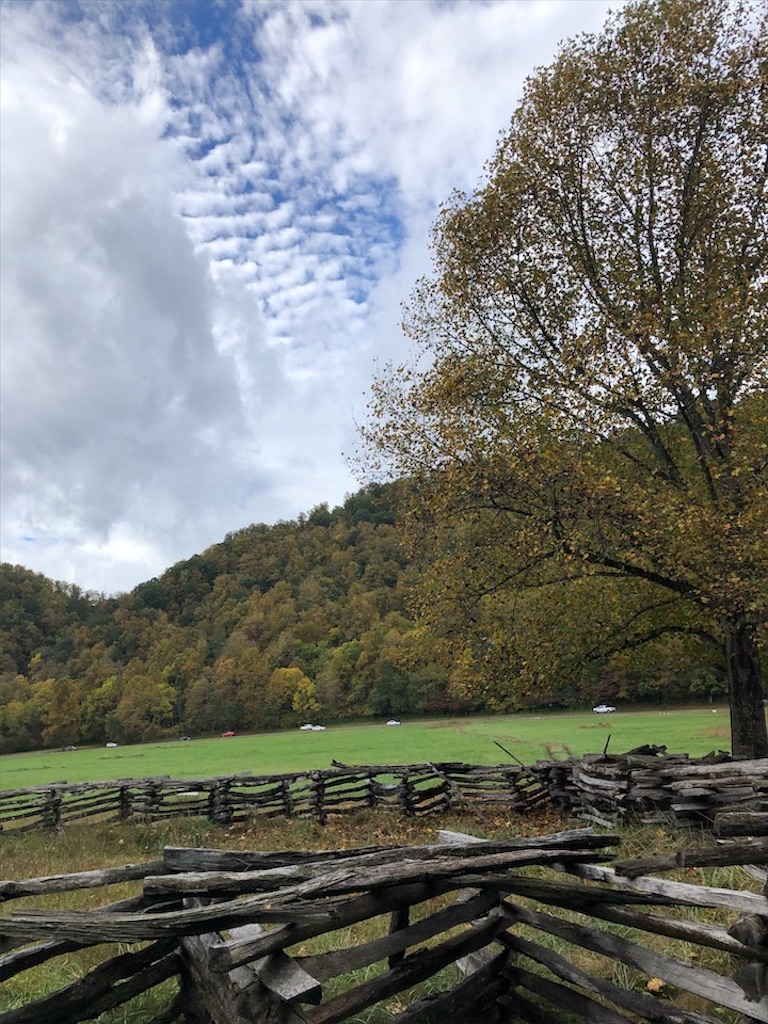 f:id:Toshibo:20201016083853j:image f:id:Toshibo:20201016083853j:image