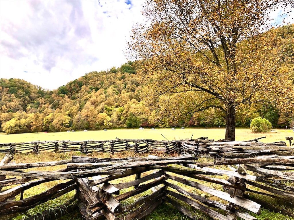 f:id:Toshibo:20201016083905j:image f:id:Toshibo:20201016083905j:image