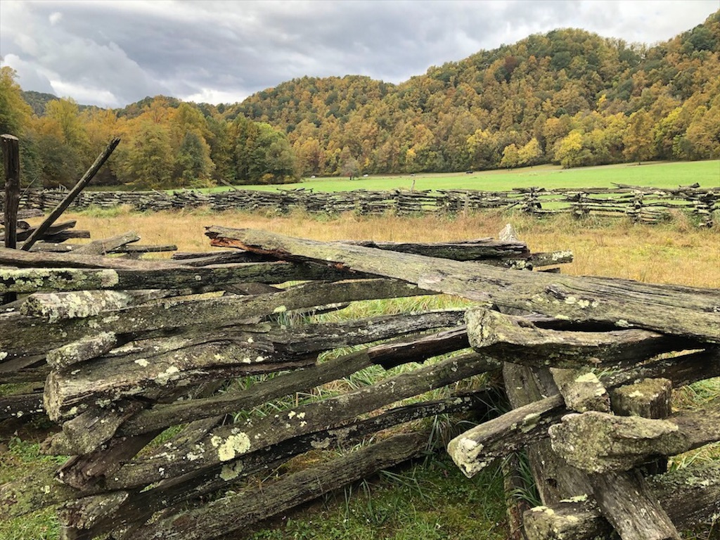 f:id:Toshibo:20201016083913j:image f:id:Toshibo:20201016083913j:image