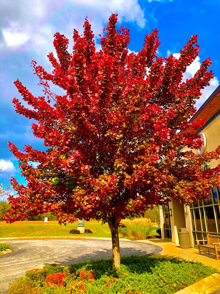 f:id:Toshibo:20201024213310j:image f:id:Toshibo:20201024213310j:image