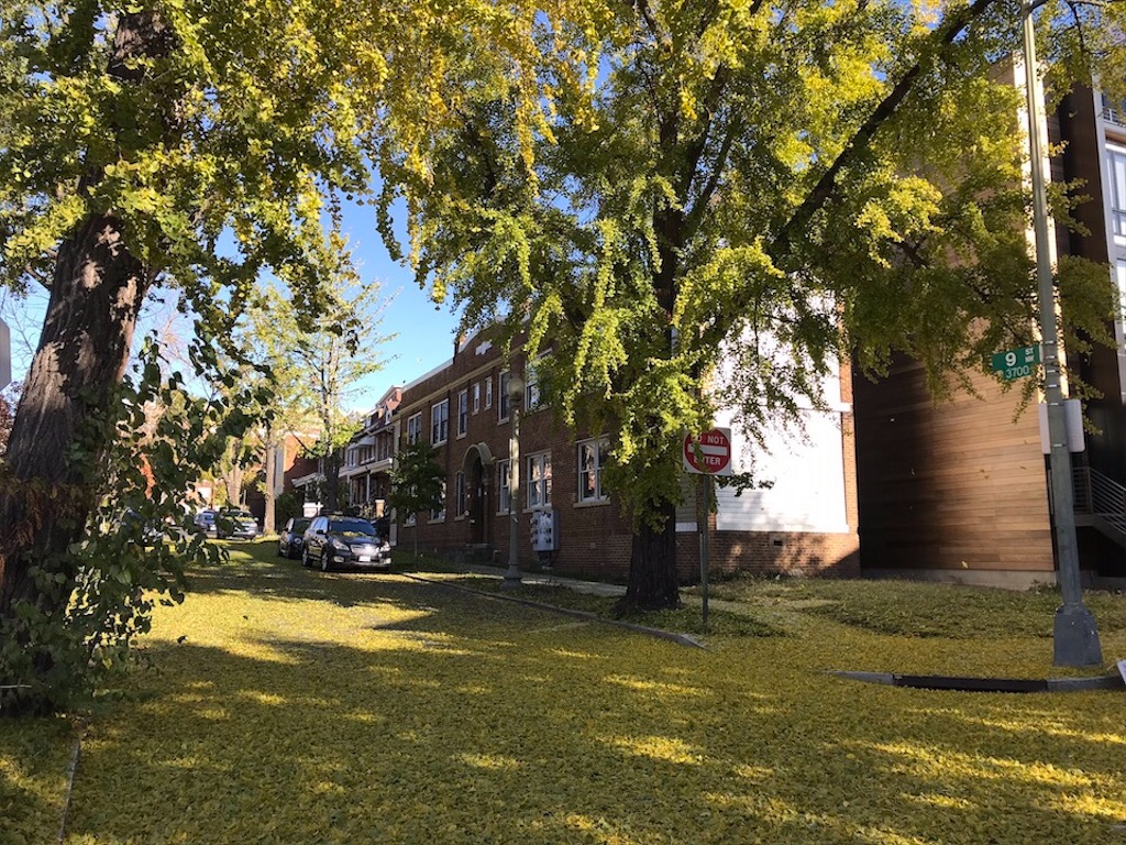 f:id:Toshibo:20201024213337j:image f:id:Toshibo:20201024213337j:image