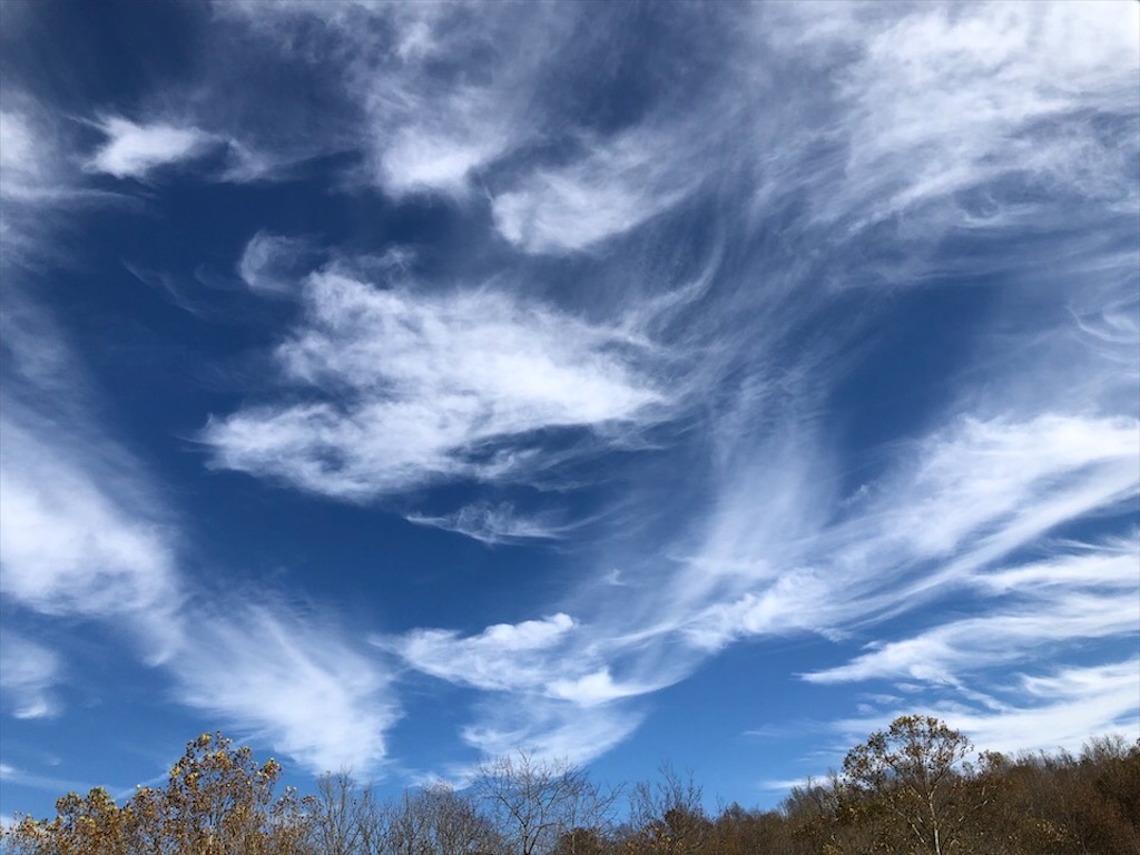 f:id:Toshibo:20201102023226j:image f:id:Toshibo:20201102023226j:image