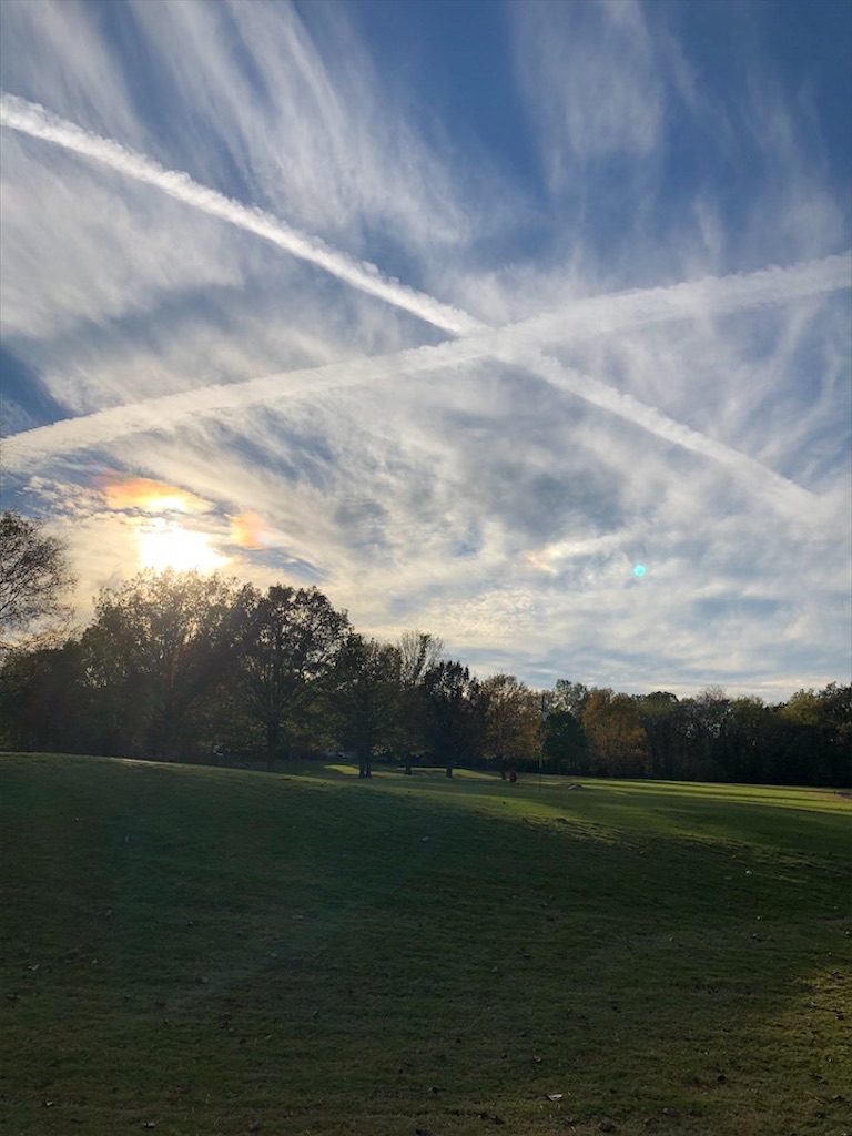 f:id:Toshibo:20201102023345j:image f:id:Toshibo:20201102023345j:image