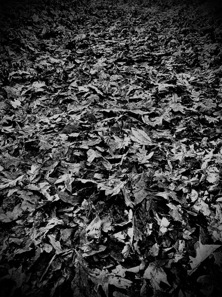 f:id:Toshibo:20201108095109j:image