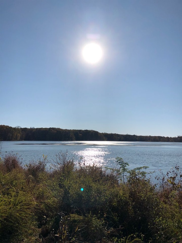 f:id:Toshibo:20201108095248j:image