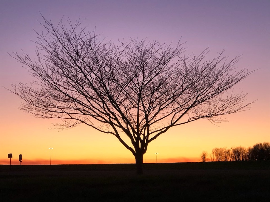 f:id:Toshibo:20201113214537j:image