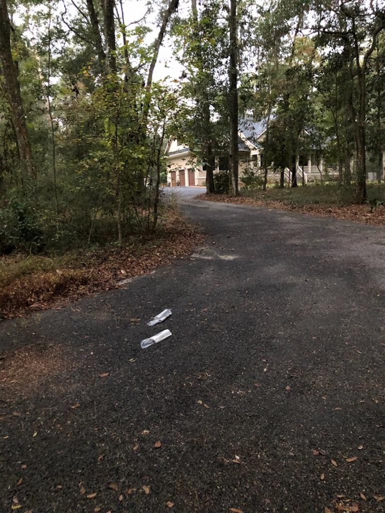 f:id:Toshibo:20201128204535j:image f:id:Toshibo:20201128204535j:image