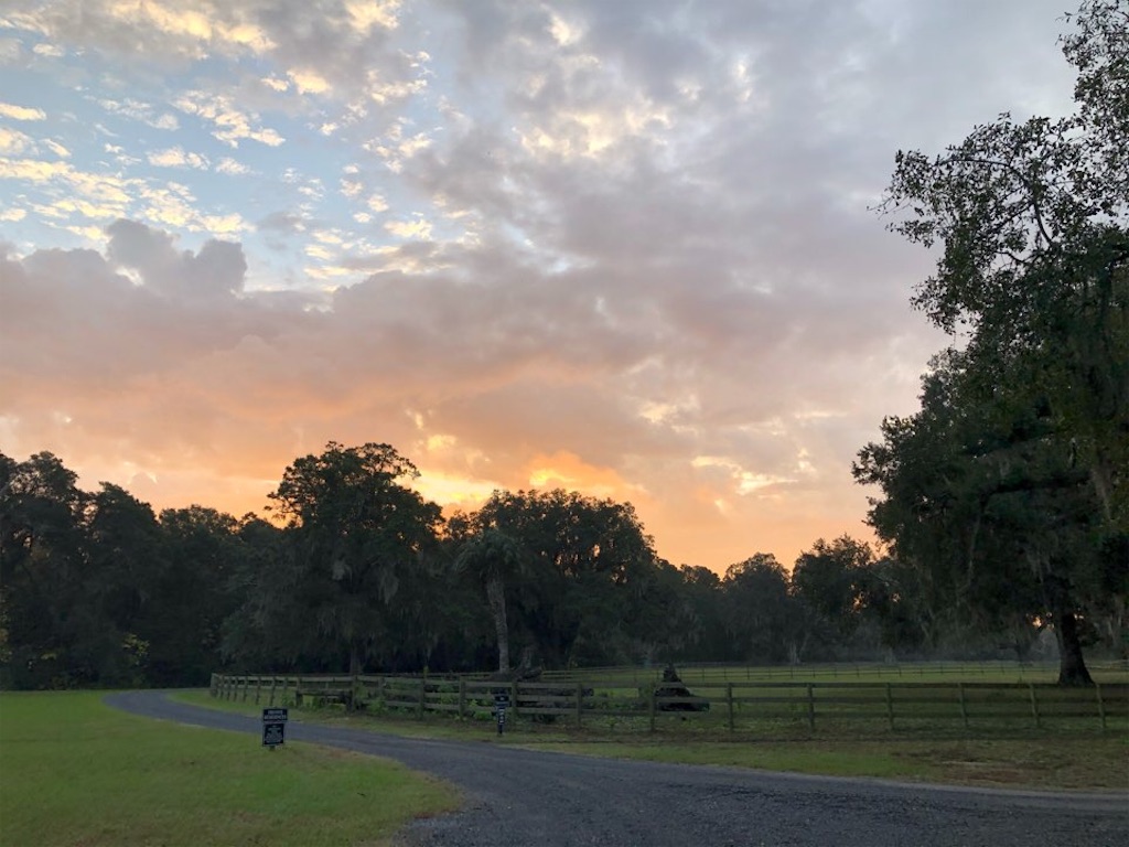 f:id:Toshibo:20201128204549j:image f:id:Toshibo:20201128204549j:image