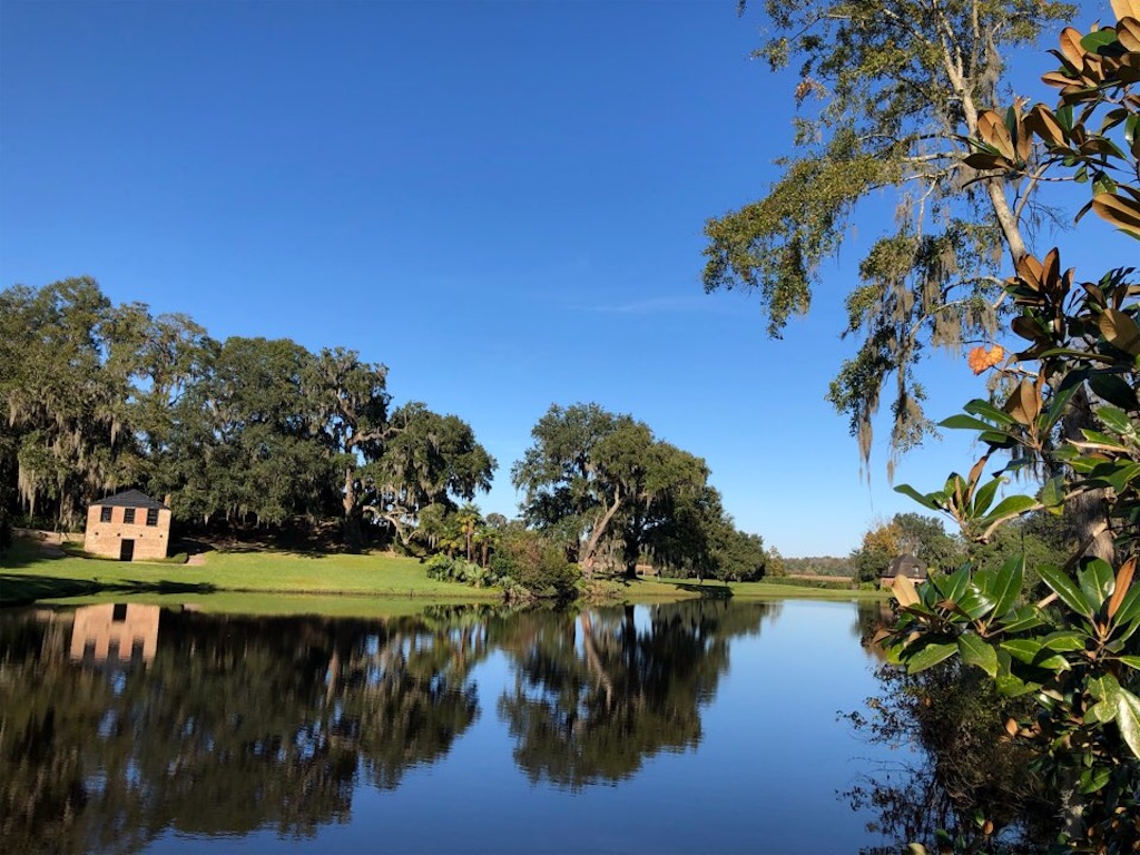 f:id:Toshibo:20201129114522j:image