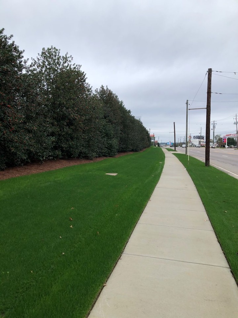 f:id:Toshibo:20201205145156j:image