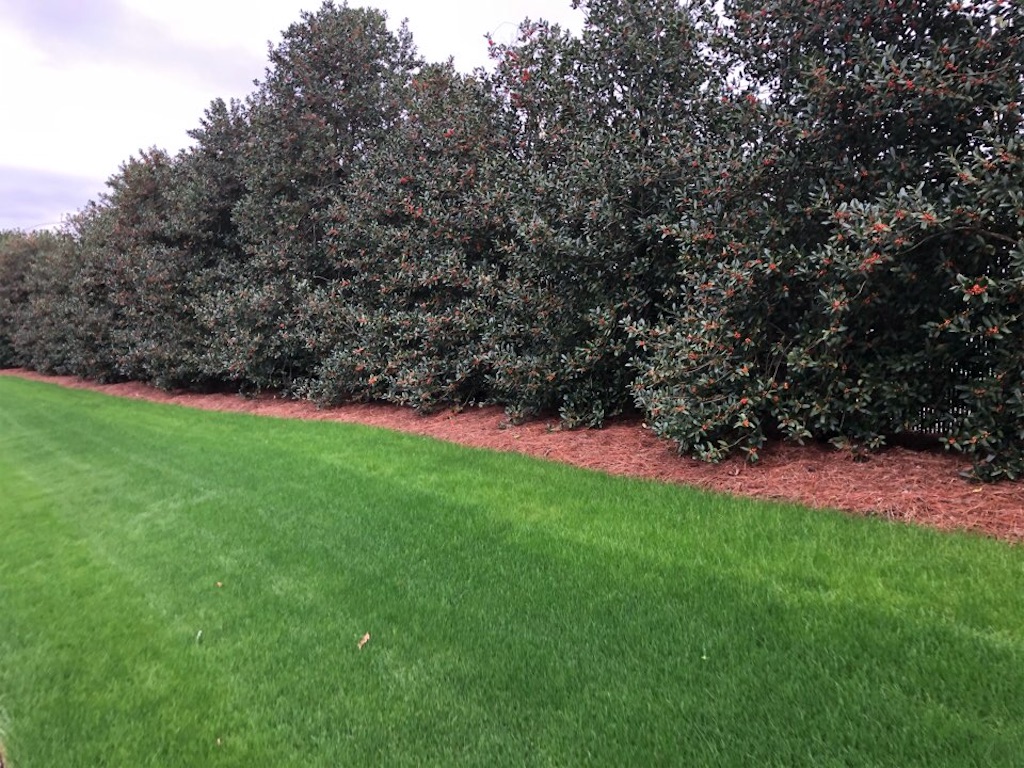 f:id:Toshibo:20201205145200j:image