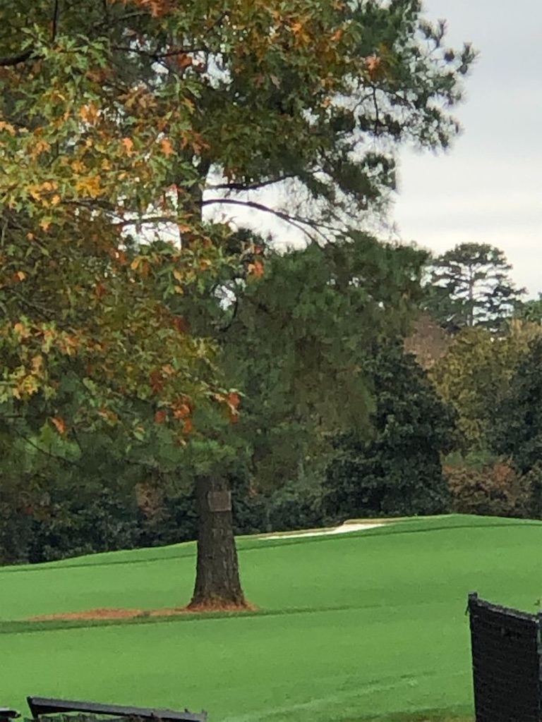 f:id:Toshibo:20201205145221j:image