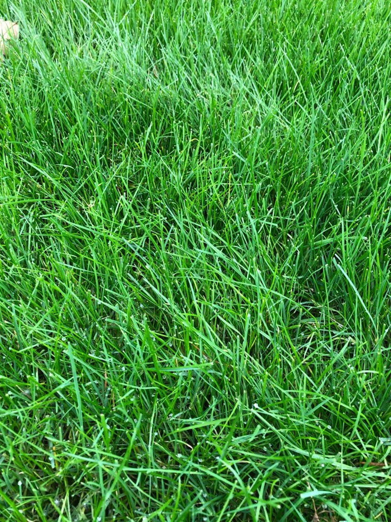 f:id:Toshibo:20201205145609j:image