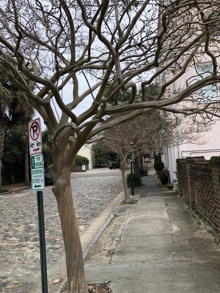 f:id:Toshibo:20201206132438j:image