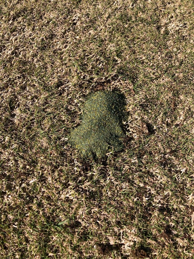 f:id:Toshibo:20201229225541j:image