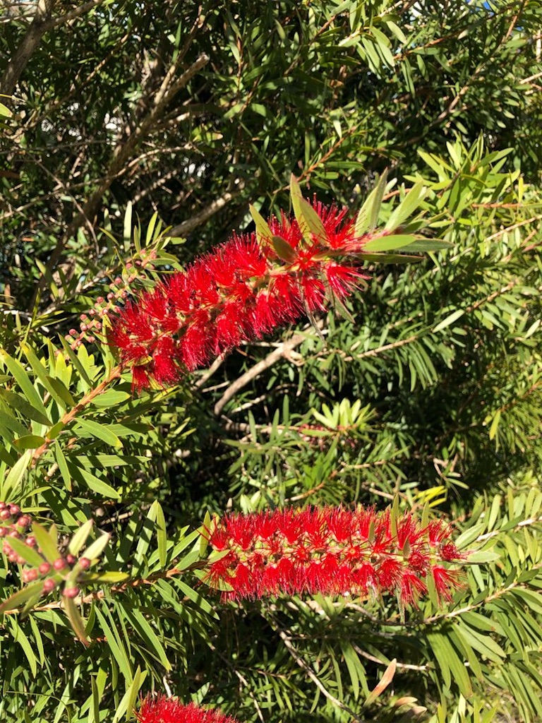 f:id:Toshibo:20201229225548j:image