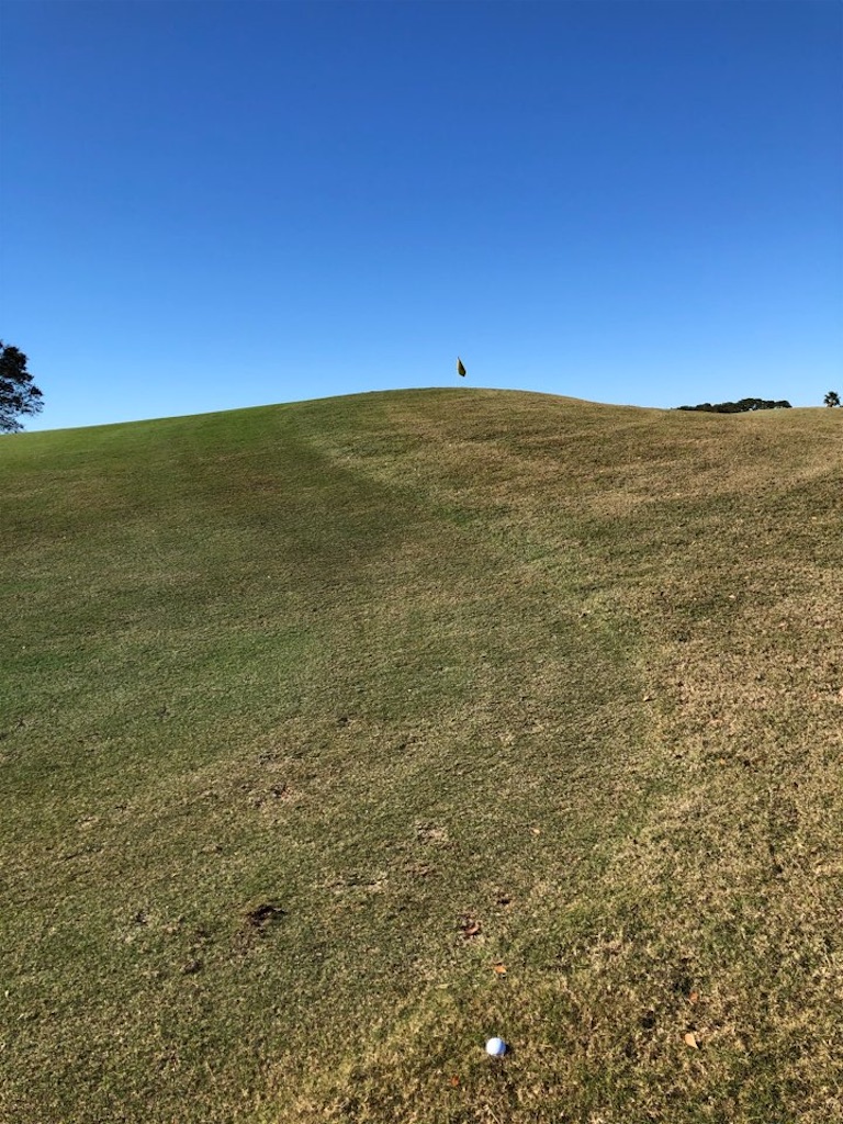 f:id:Toshibo:20201231134339j:image