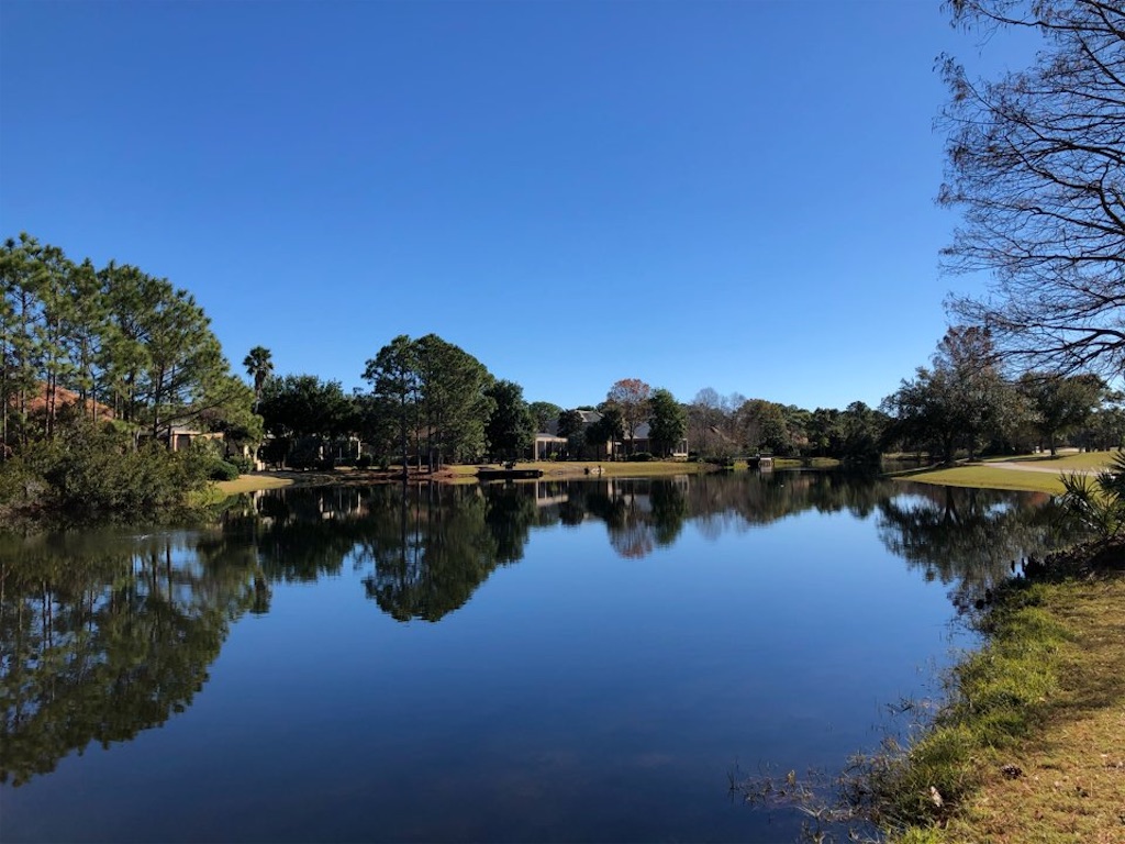 f:id:Toshibo:20201231134351j:image