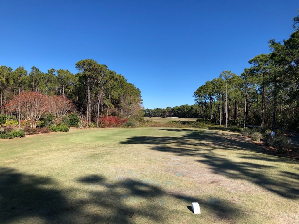 f:id:Toshibo:20201231134358j:image