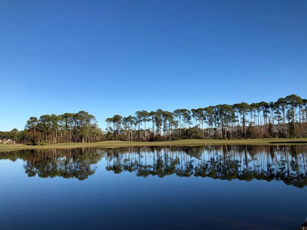 f:id:Toshibo:20201231134428j:image