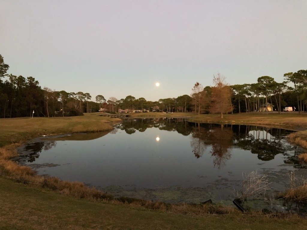 f:id:Toshibo:20210102221018j:image