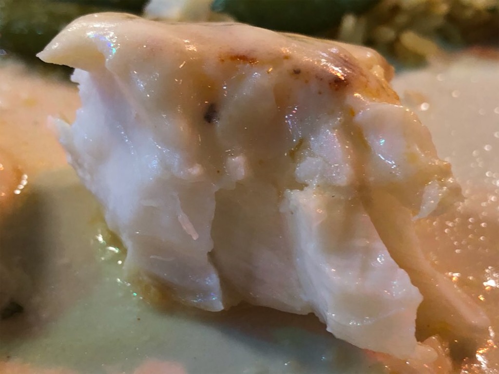 f:id:Toshibo:20210104115647j:image