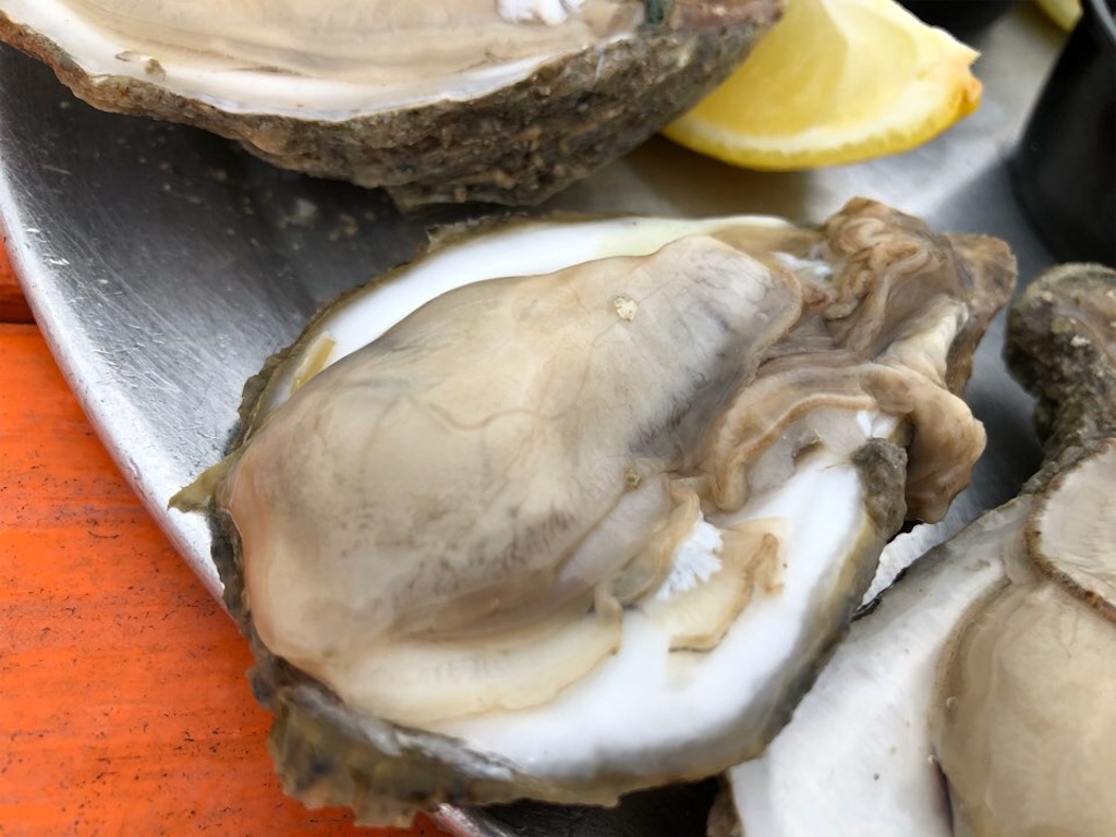 f:id:Toshibo:20210109231718j:image