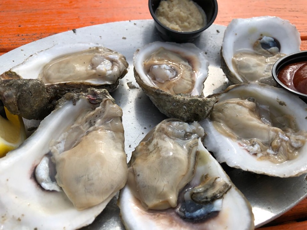 f:id:Toshibo:20210109231743j:image