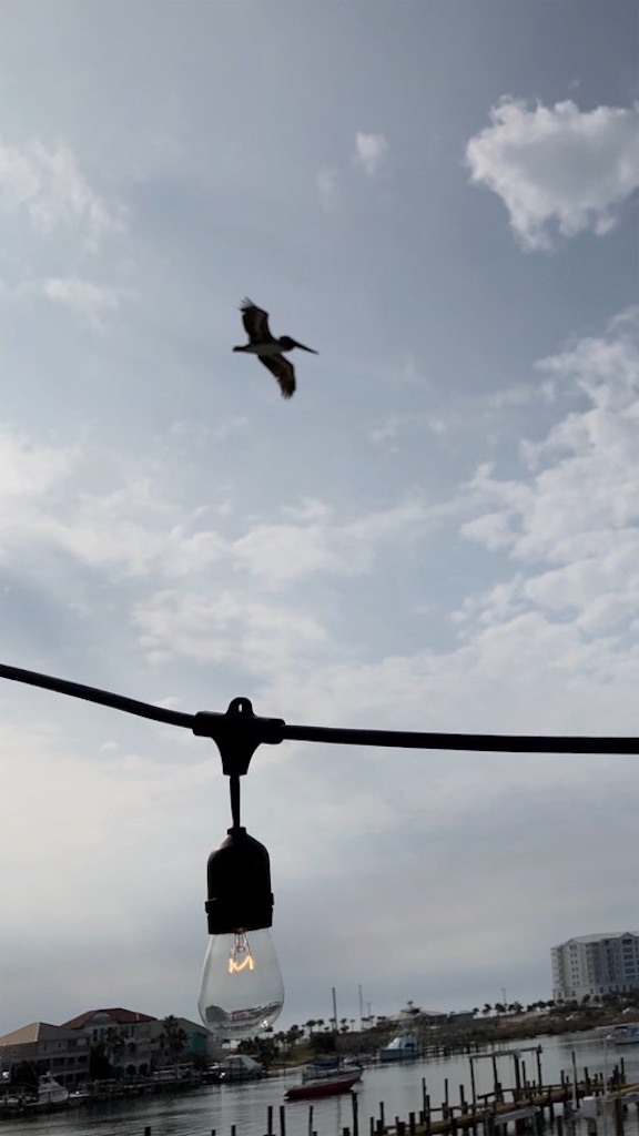 f:id:Toshibo:20210109231859j:image