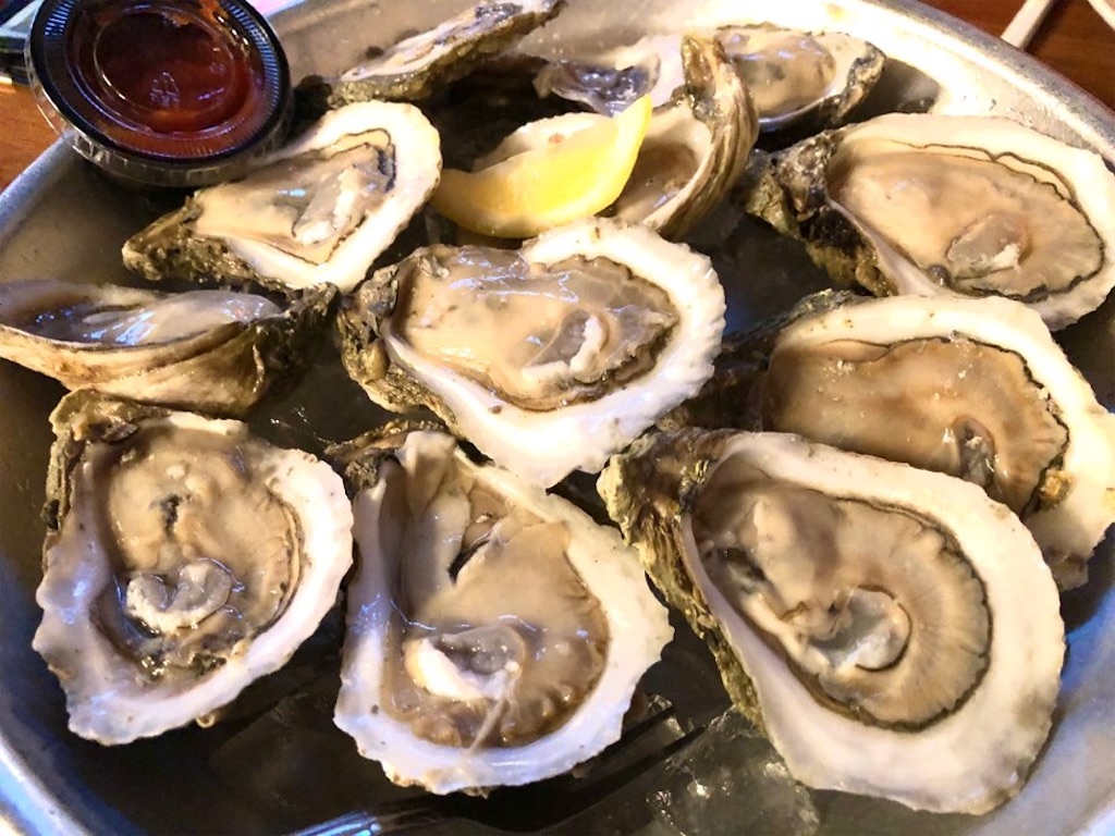 f:id:Toshibo:20210125041222j:image