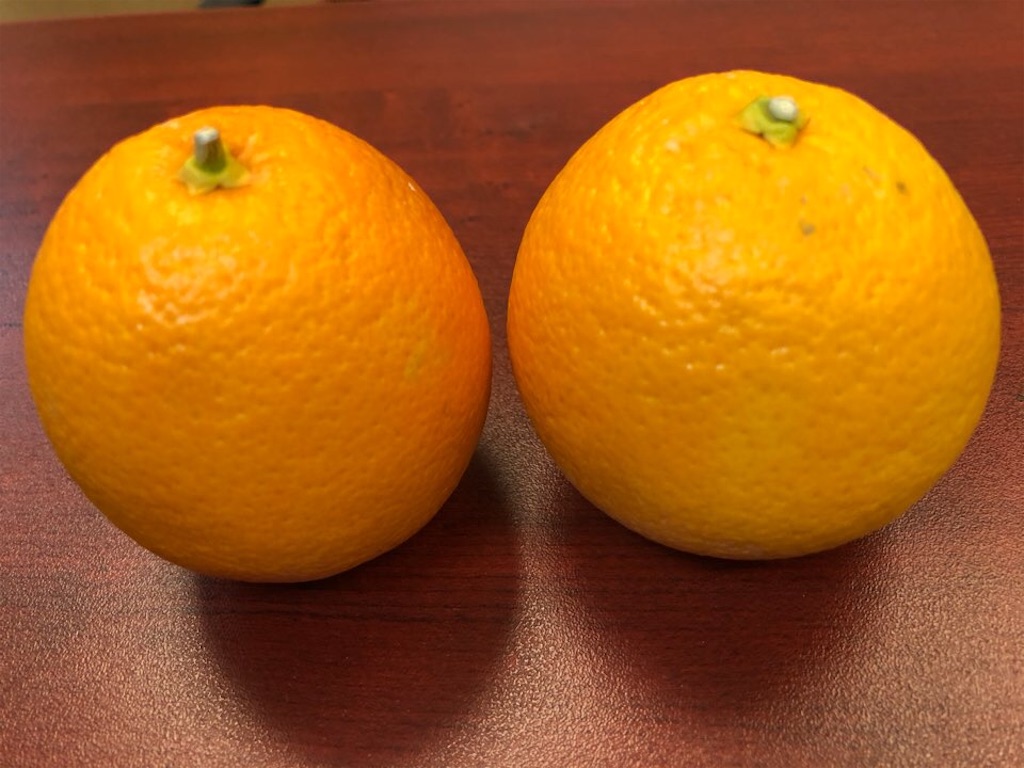 f:id:Toshibo:20210127220827j:image