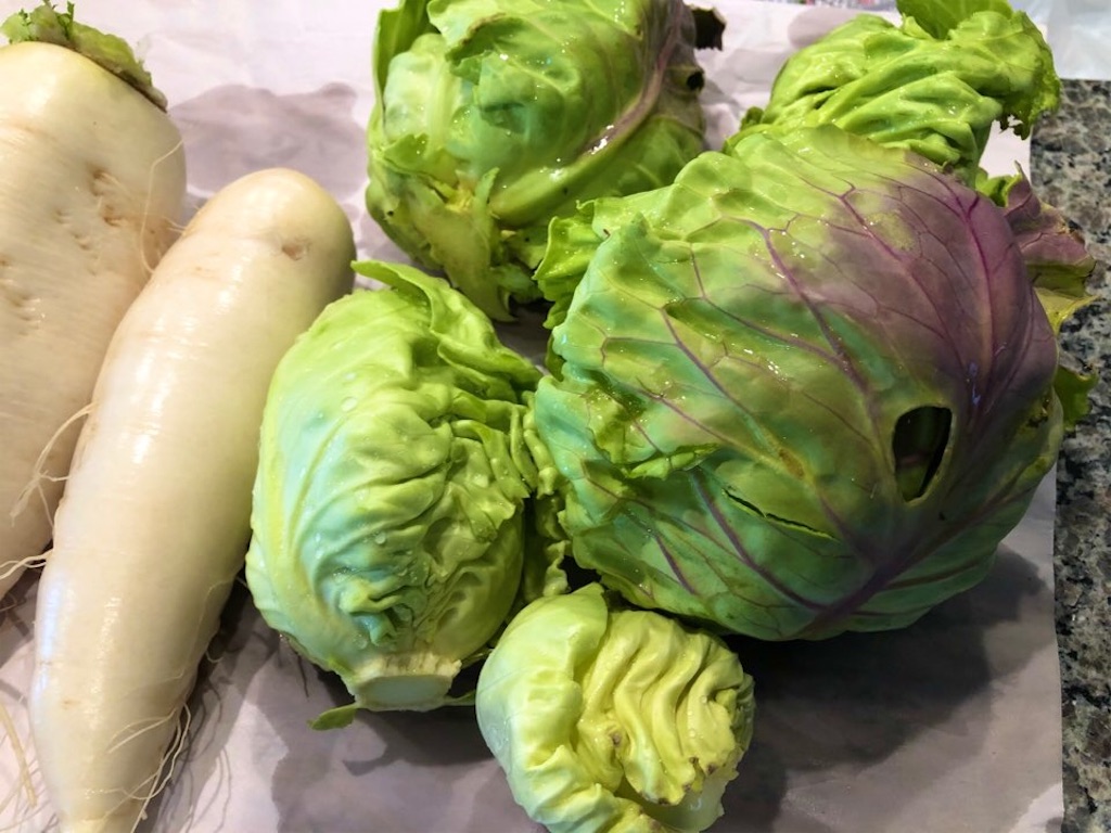 f:id:Toshibo:20210131222907j:image