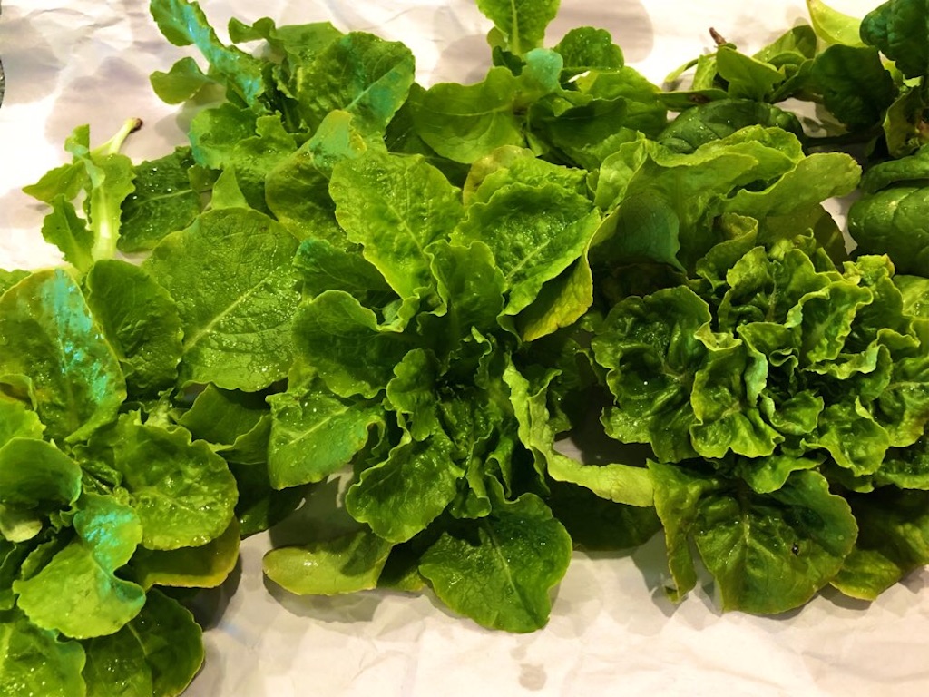 f:id:Toshibo:20210131222911j:image