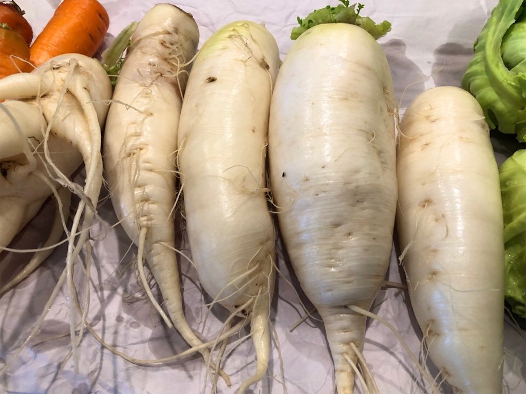 f:id:Toshibo:20210131222920j:image