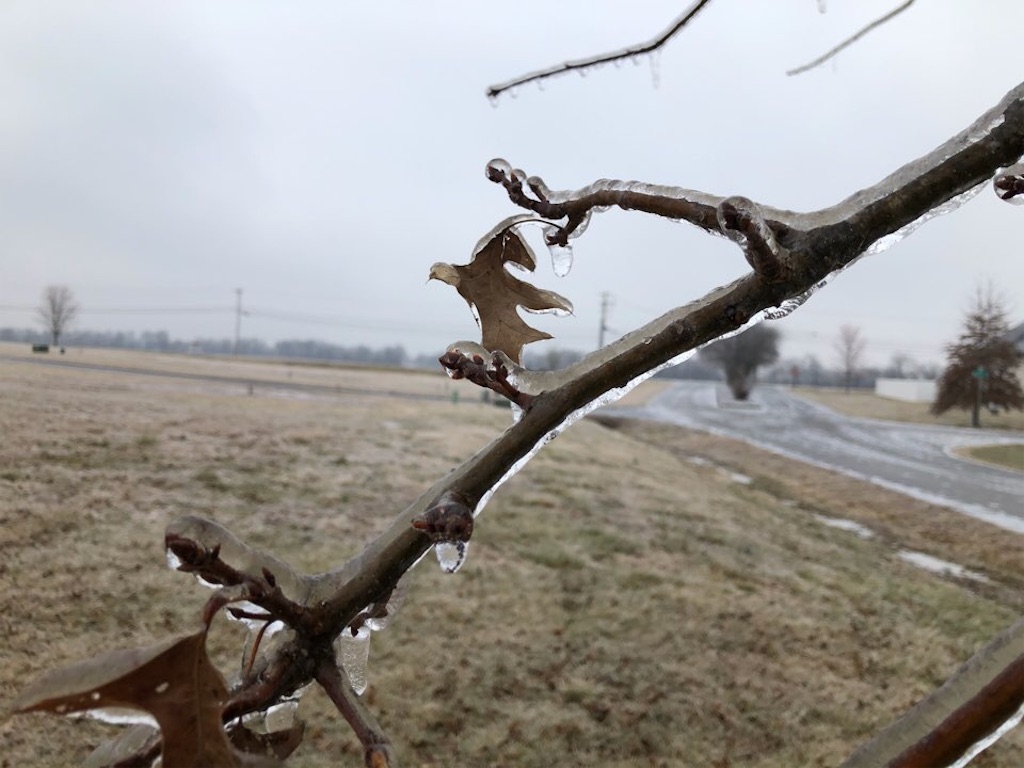 f:id:Toshibo:20210212220603j:image