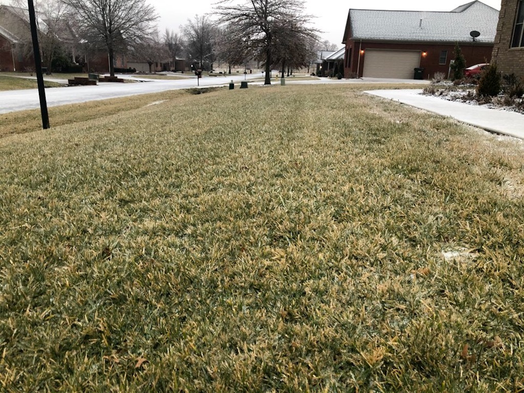 f:id:Toshibo:20210212220612j:image