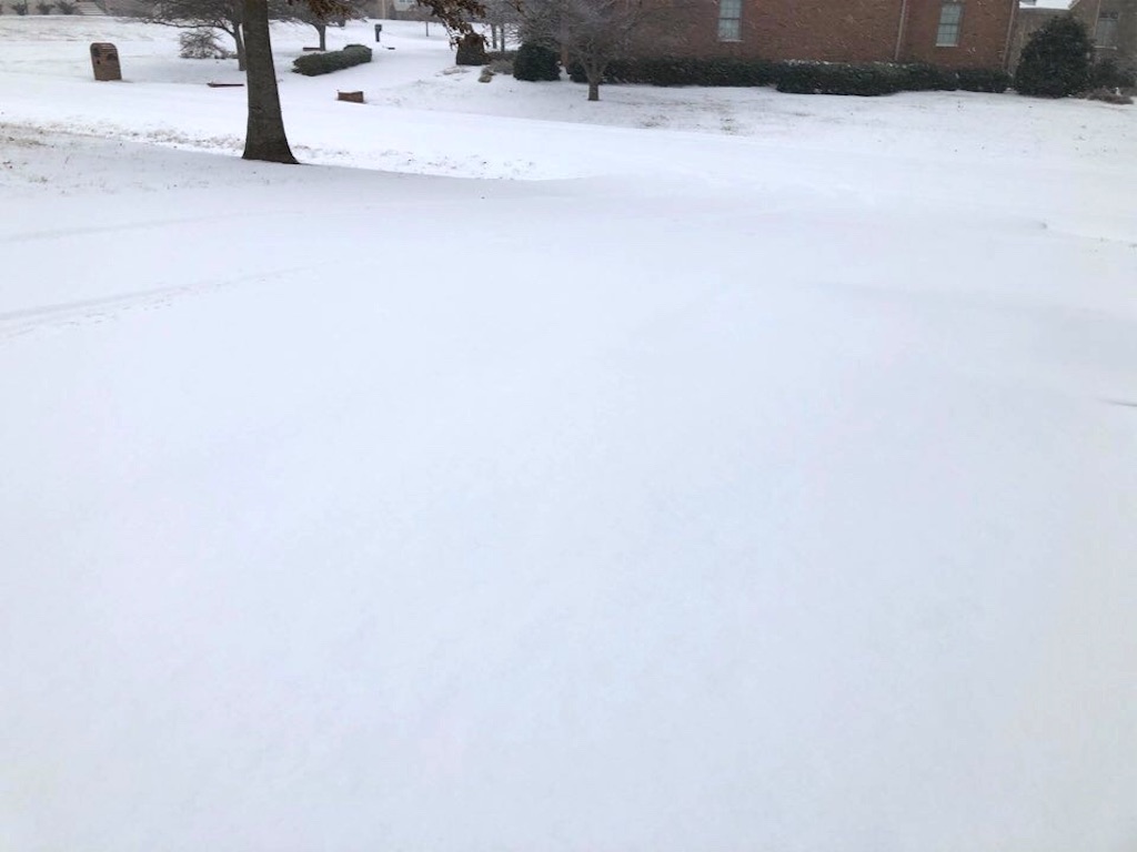 f:id:Toshibo:20210216110019j:plain