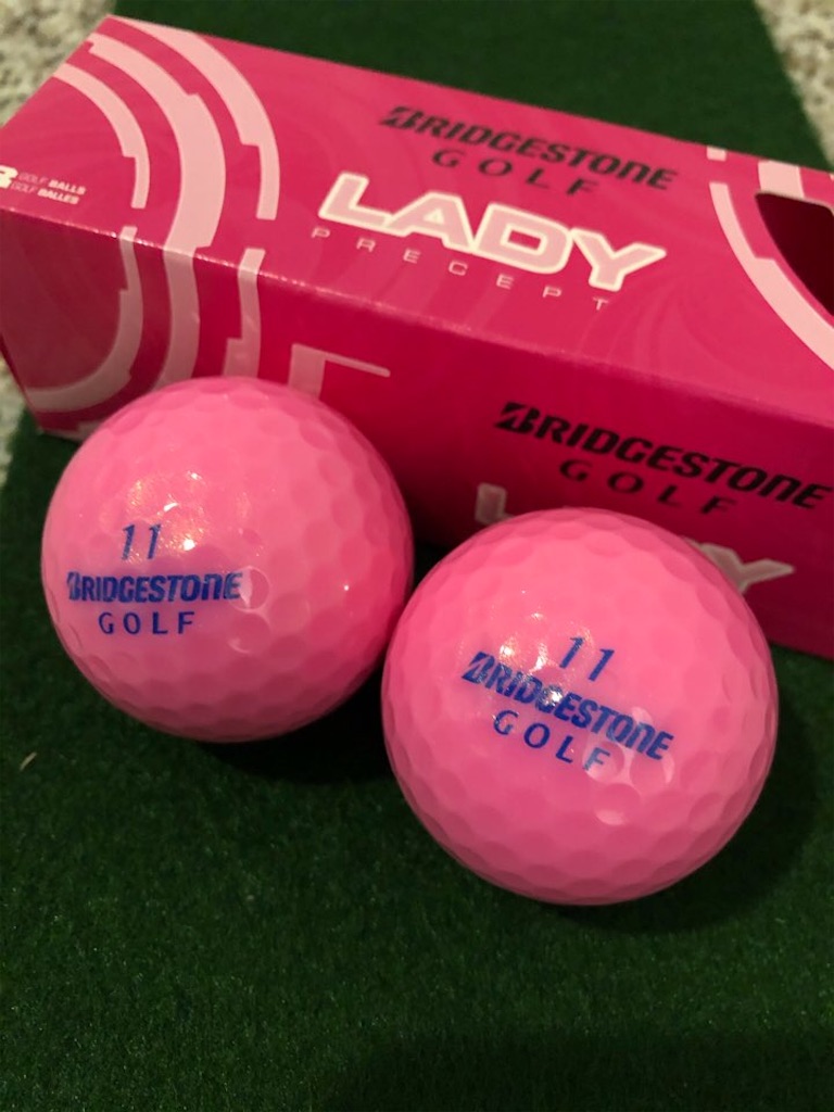 f:id:Toshibo:20210219110415j:image