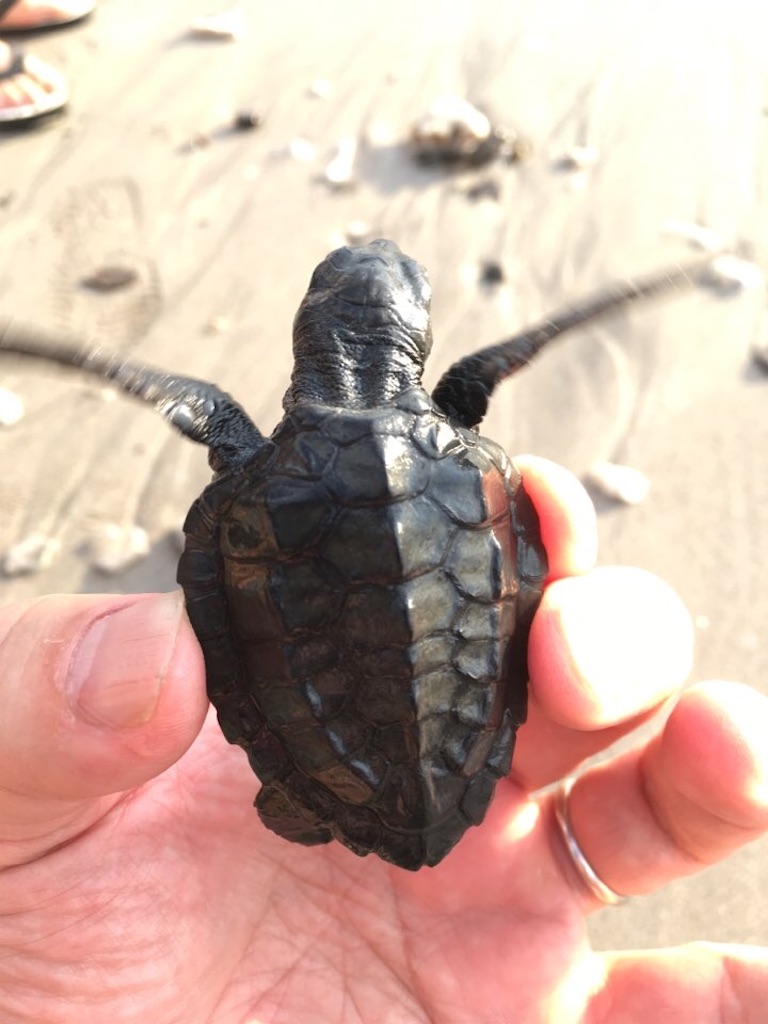 f:id:Toshibo:20210222101652j:image f:id:Toshibo:20210222101652j:image