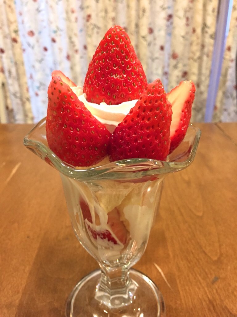 f:id:Toshibo:20210319080558j:image