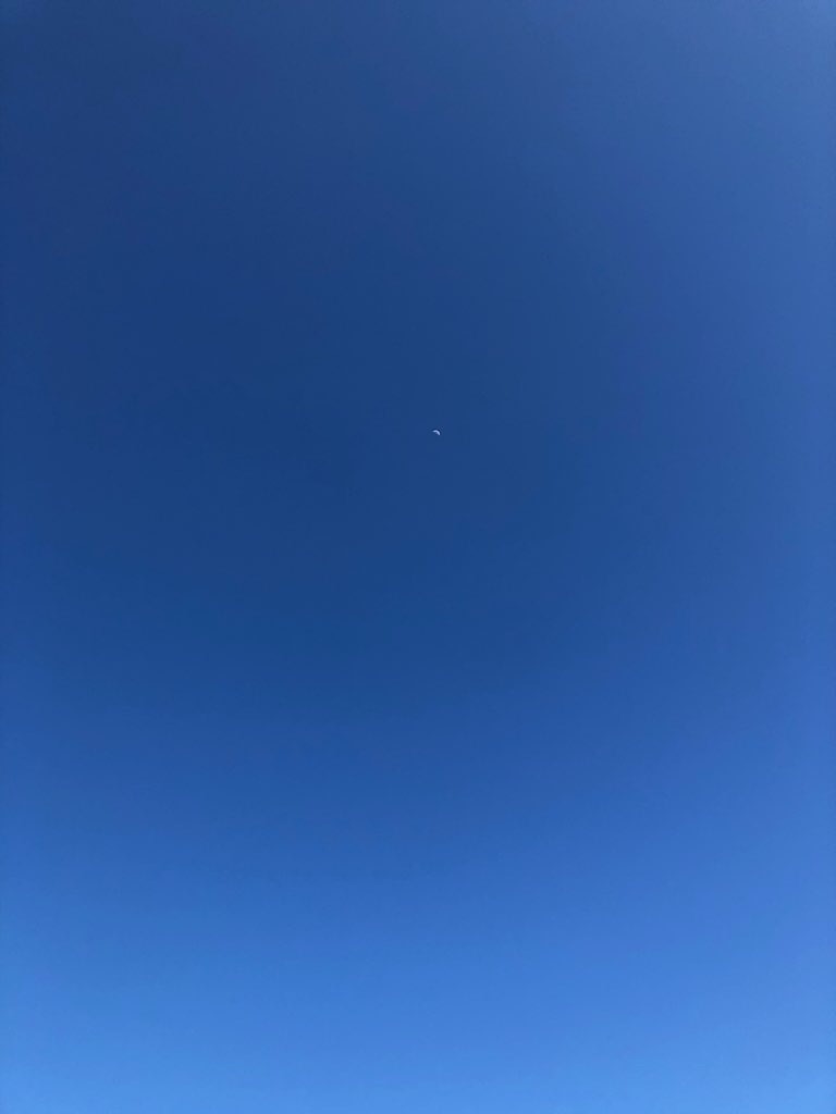 f:id:Toshibo:20210321121906j:image