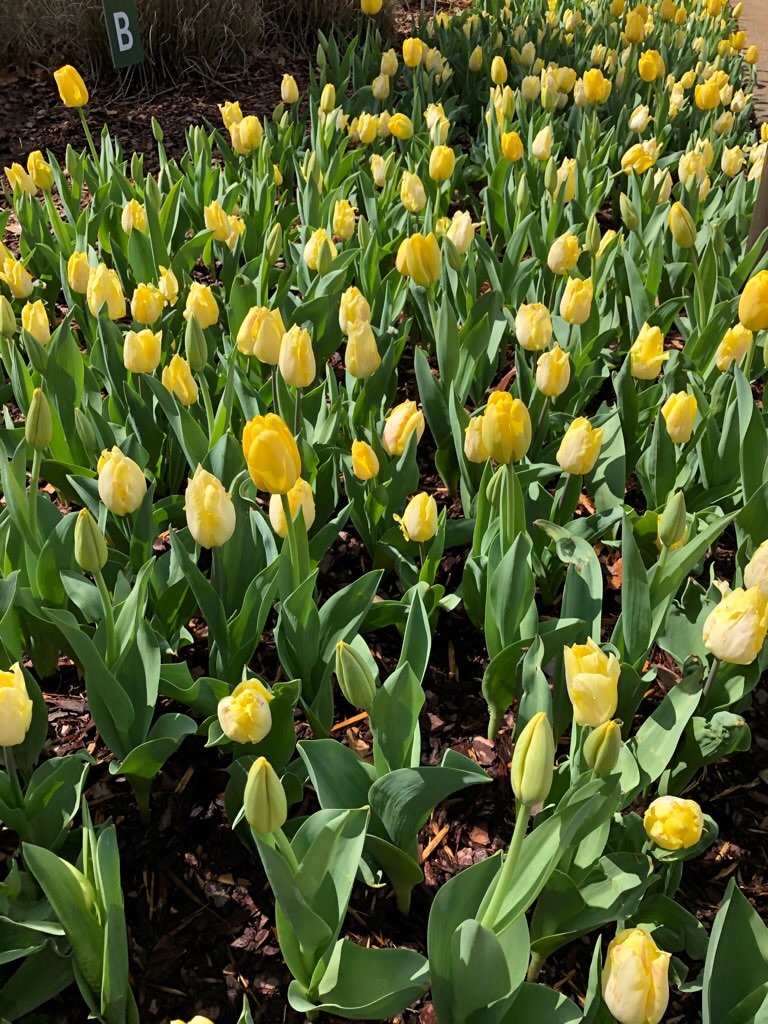 f:id:Toshibo:20210330230238j:image f:id:Toshibo:20210330230238j:image