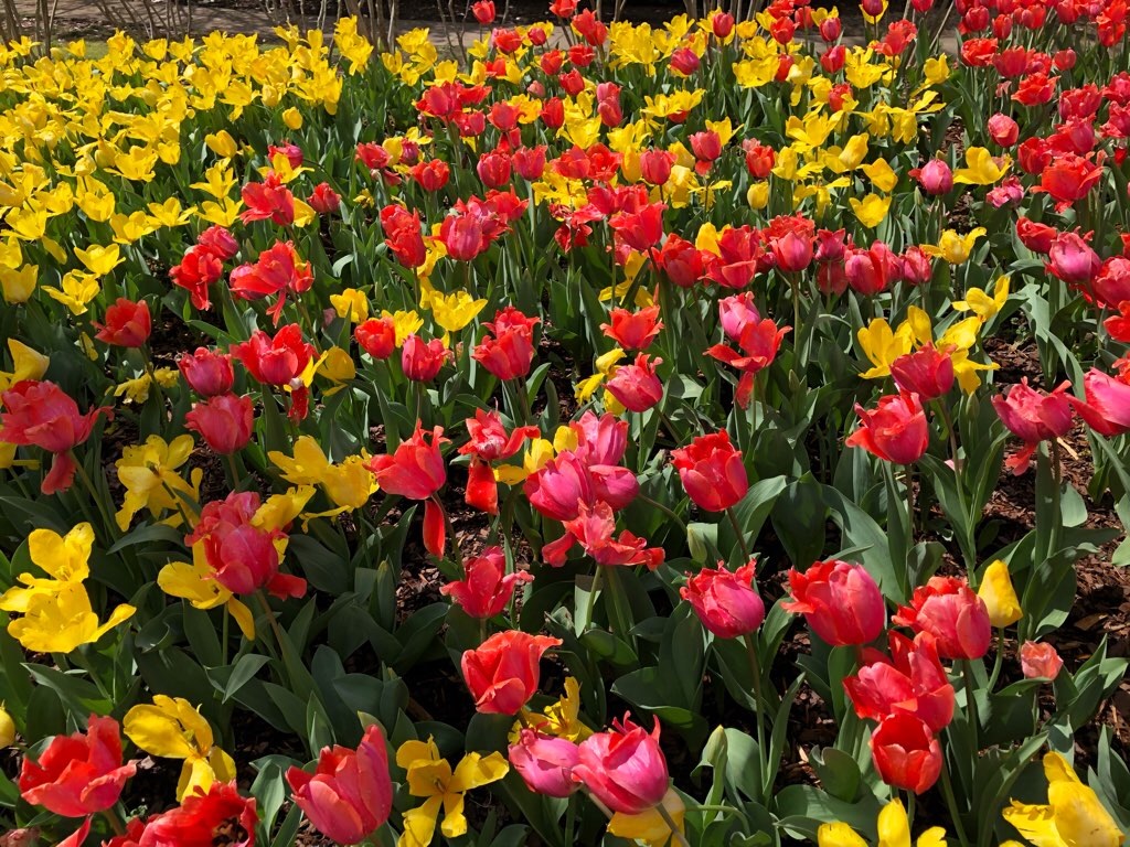 f:id:Toshibo:20210330230244j:image f:id:Toshibo:20210330230244j:image