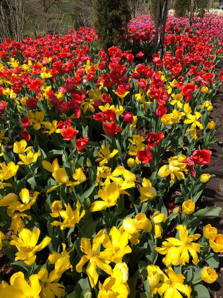 f:id:Toshibo:20210330230255j:image f:id:Toshibo:20210330230255j:image