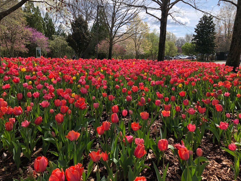 f:id:Toshibo:20210330230258j:image f:id:Toshibo:20210330230258j:image