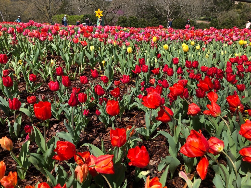 f:id:Toshibo:20210330230312j:image f:id:Toshibo:20210330230312j:image