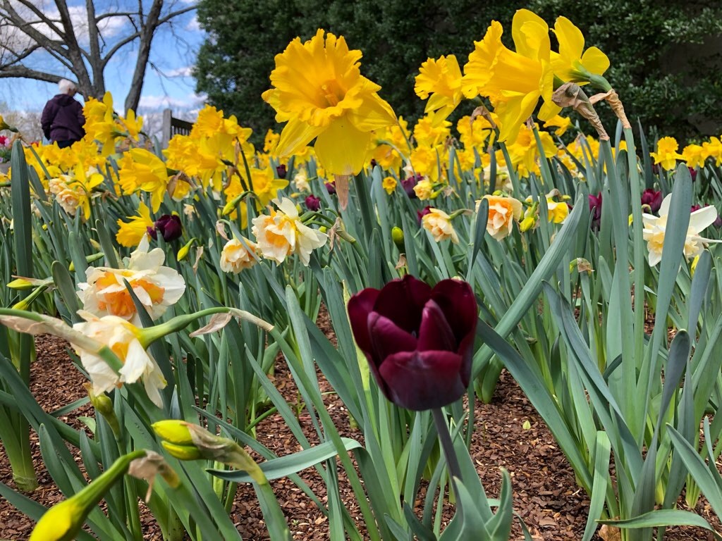 f:id:Toshibo:20210330230331j:image f:id:Toshibo:20210330230331j:image