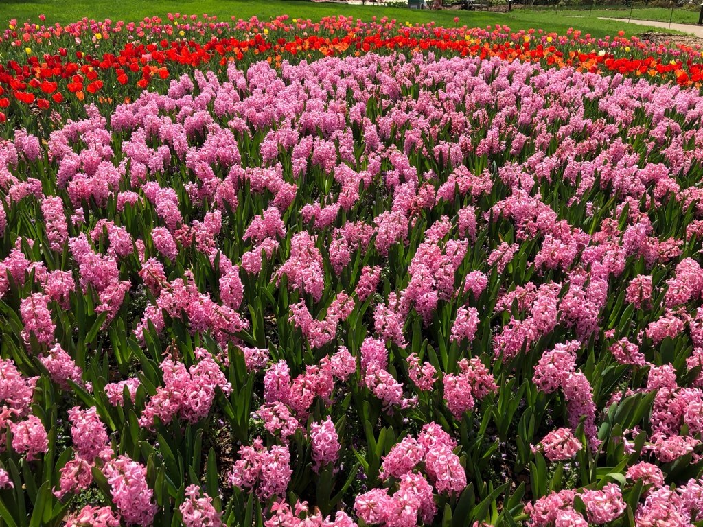 f:id:Toshibo:20210330230342j:image f:id:Toshibo:20210330230342j:image