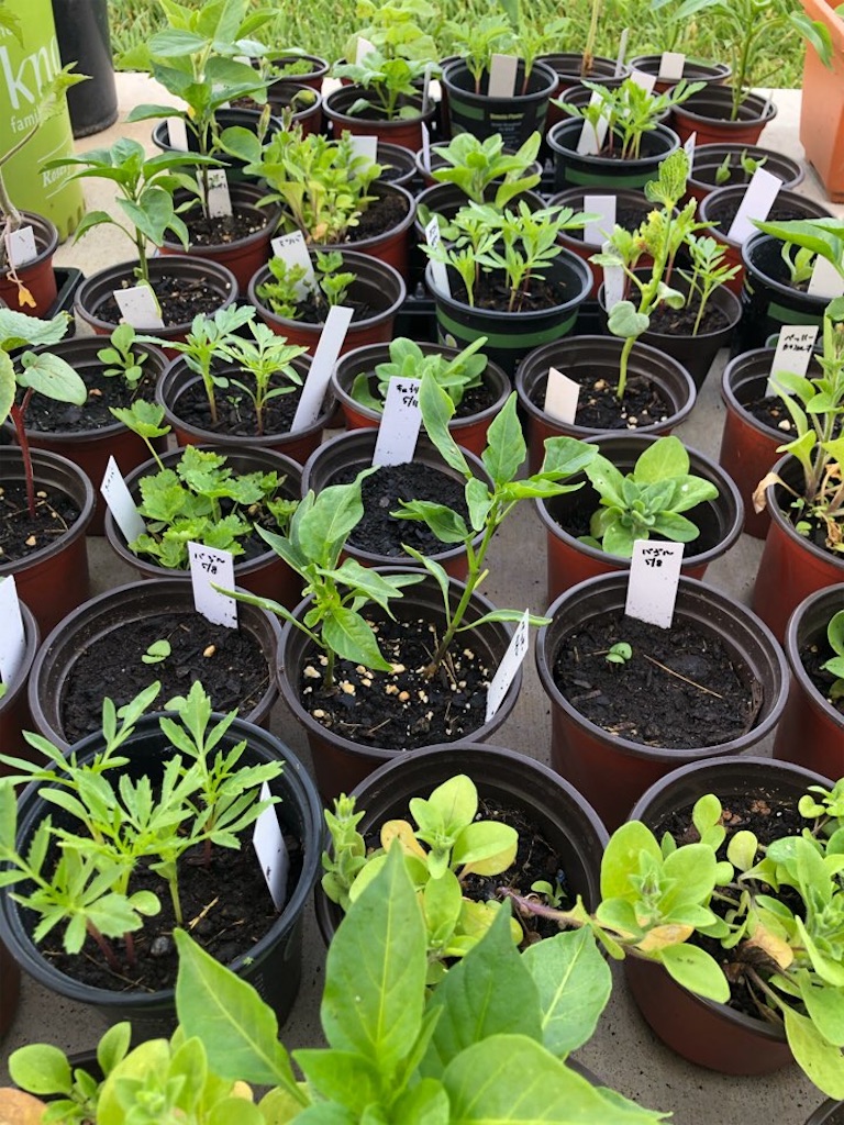 f:id:Toshibo:20210522213010j:image