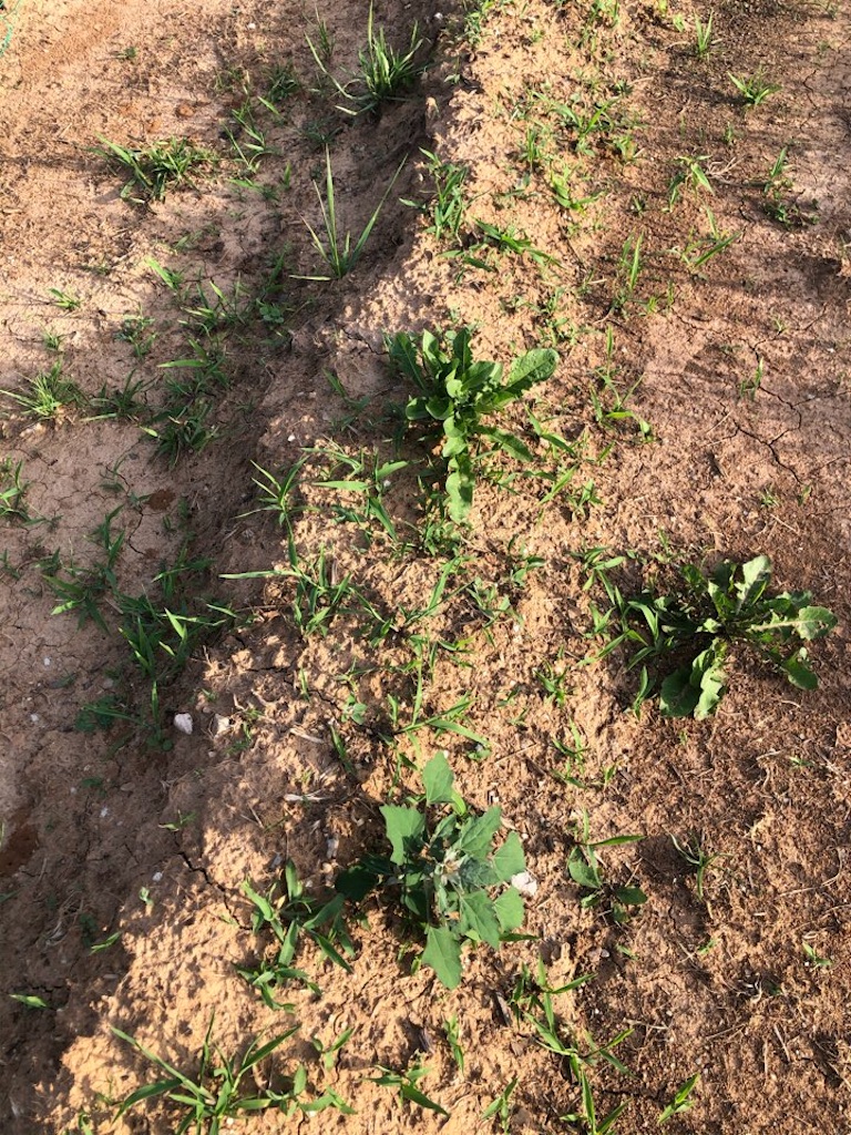 f:id:Toshibo:20210522213034j:image